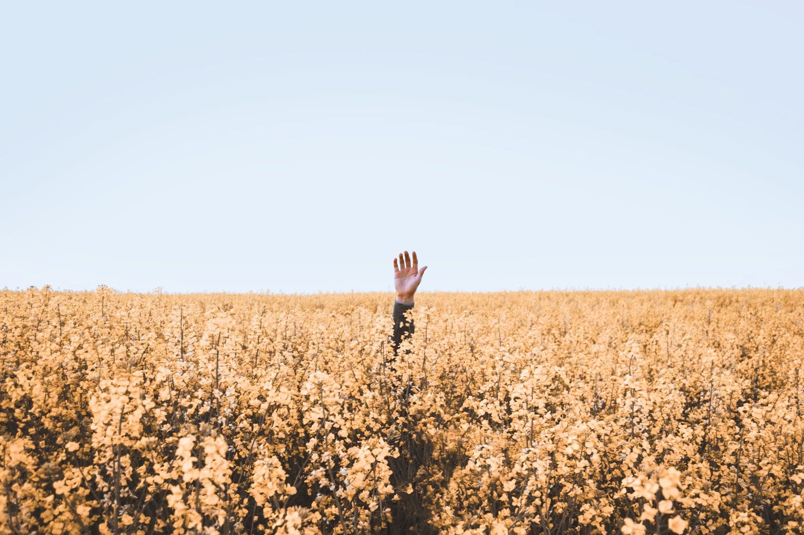 Are all feature voting tools equally bad?