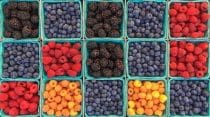 Canny best practices: How to organize customer feedback