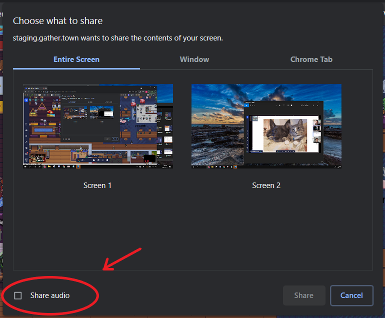 An image of the Chrome browser share screen prompt with an arrow pointing at a circle that encompasses the Share Audio option