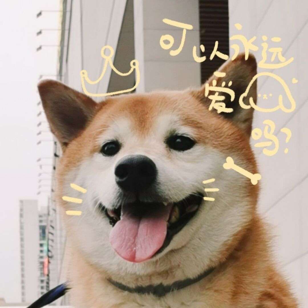 包仔的Pinbox