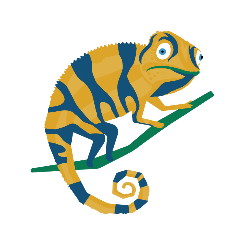 My Data Chameleon logo
