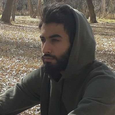 AmIr