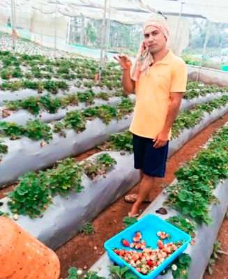 Raj Bahadur