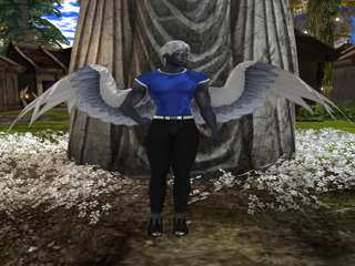AngelicDrow Resident