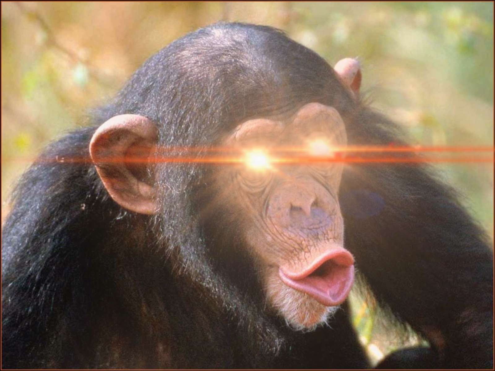 daveydoo