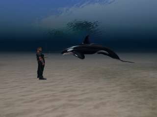 Mr Onyx