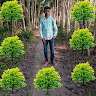 All BD Channel