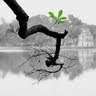 Linh Thai Le