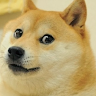 Doge