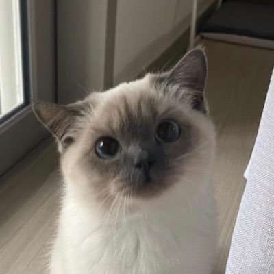 ˙˘˙