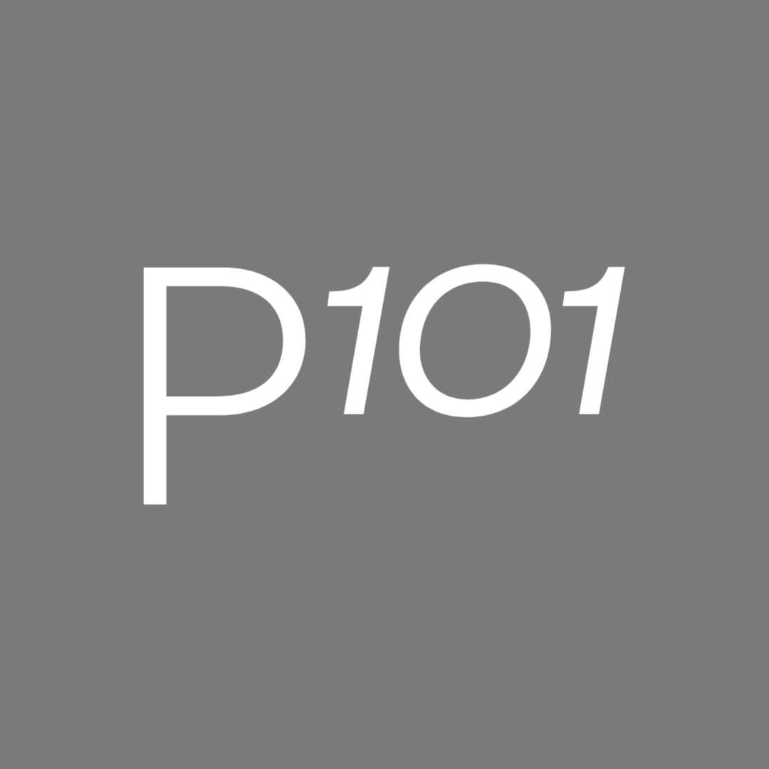 Project101 School