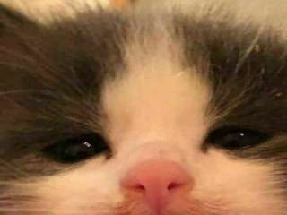 jinnana Resident