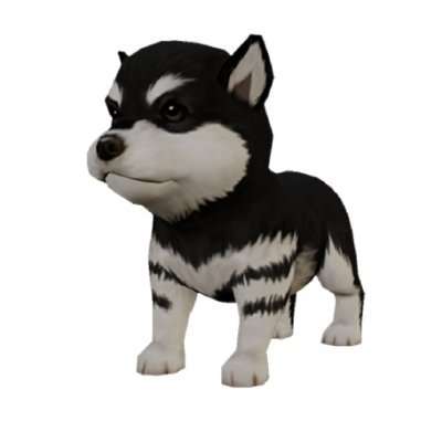 NFT DOG