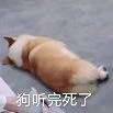 踏网无痕