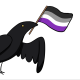 Raven Byrne