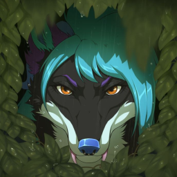 Nori Yote