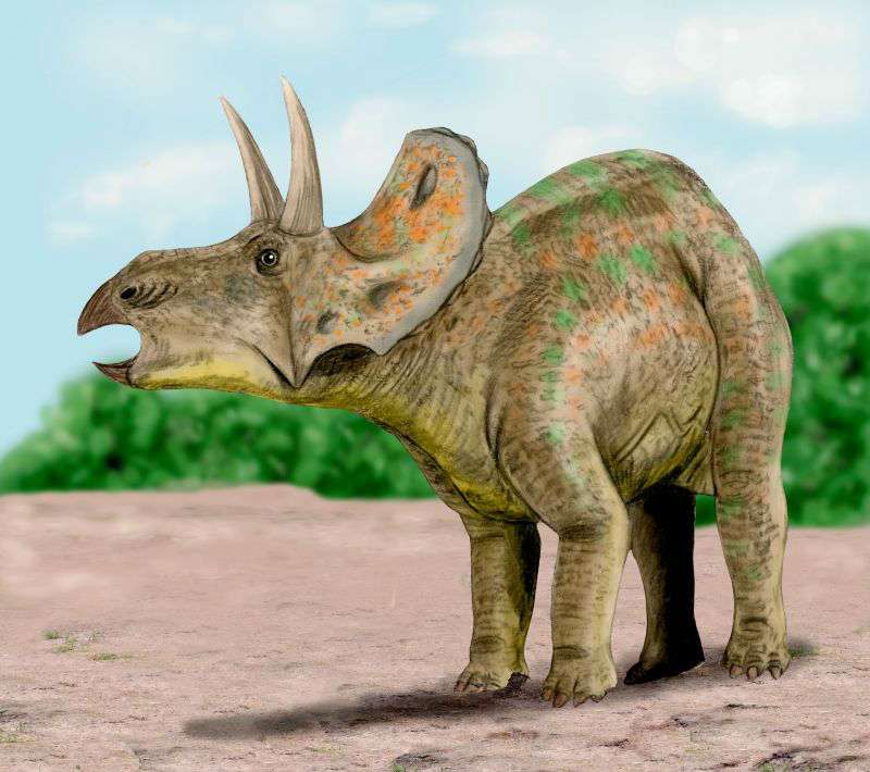 Nedoceratops_BW