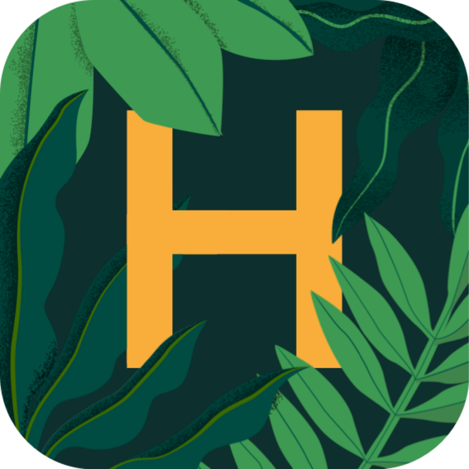 Hedira logo