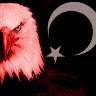 Kuzey Güler