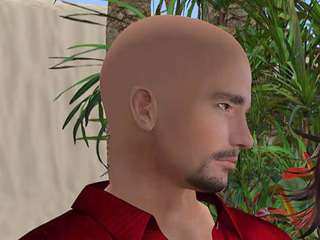 Domitan Redenblack