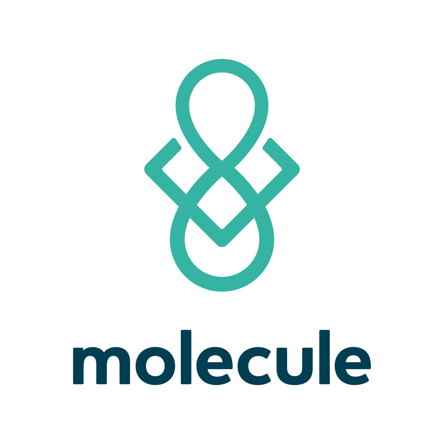 Molecule Catalyst logo