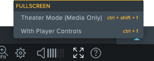 Full screen playback menu options