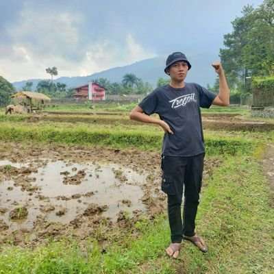 Setoy 🍁
