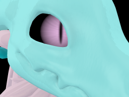 WhaleMaster