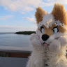 Xiolet .Woolfy