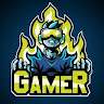 vs gamer