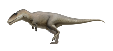 440px-Carcharodontosaurus