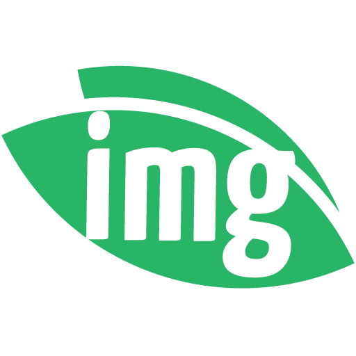Img.vision logo