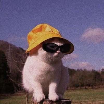 epa🐱 BIG WIN