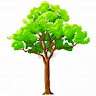 Alex Trees