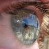 Eagle Eye