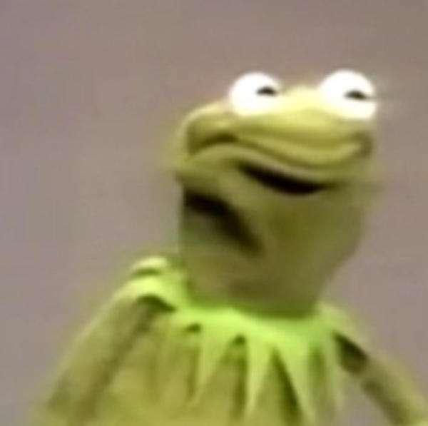 kermit wants to end his life