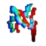 N41X