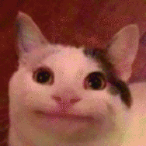 Domio