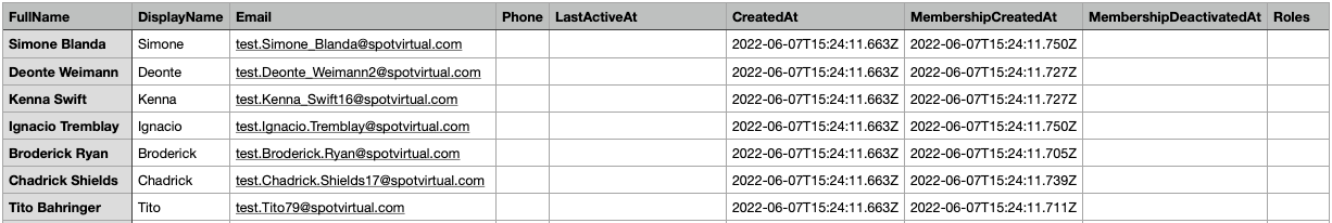 Team Members Spreadsheet