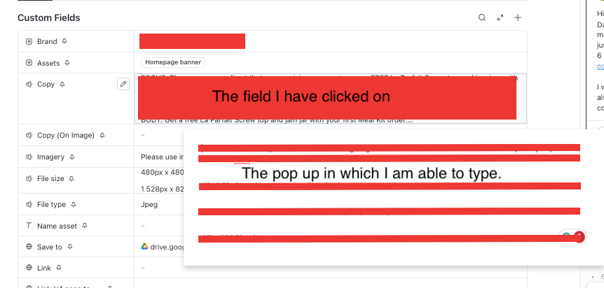 Long Text Custom Field entry with Pop Up | Voters | ClickUp