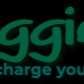 Riggie Freyer