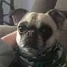 1k subs with no videos
