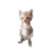 Jacko