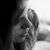 Kimberly Milam Williams