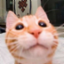 Dan