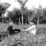 Quang Thien Vo