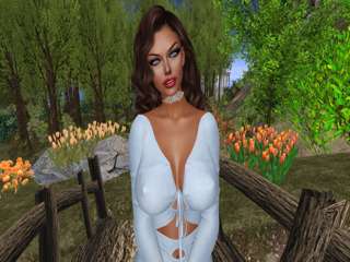 Blueridge Azalee