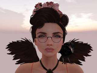 Tia Biscuit