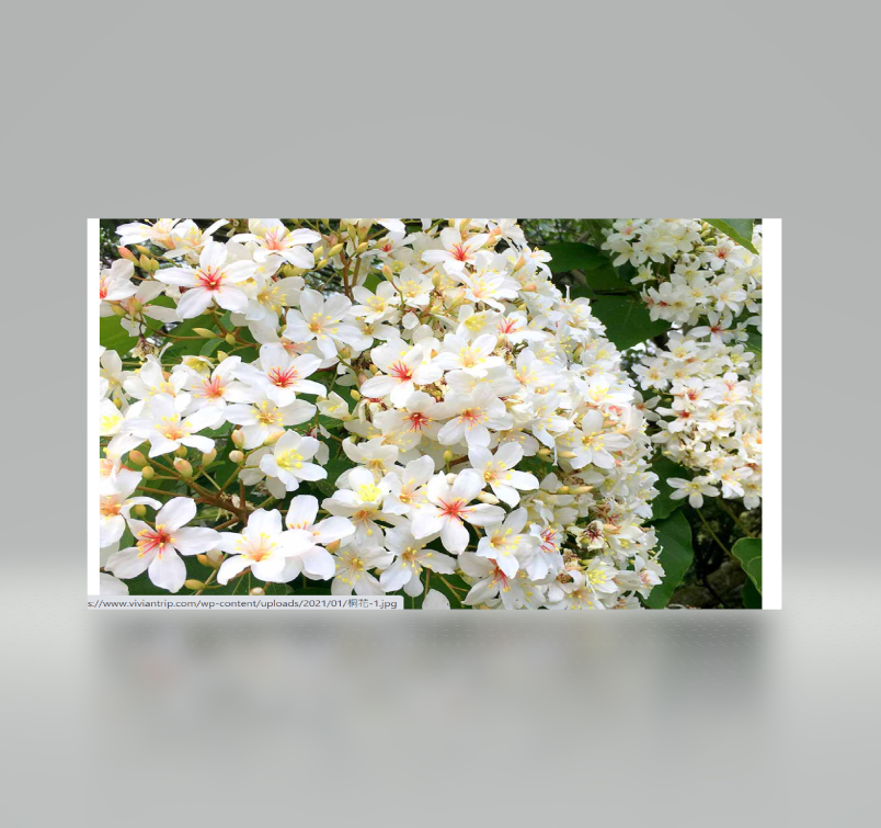 https://canny.io/images/d9bfe8a9d06929b386d00a79b539009e.png