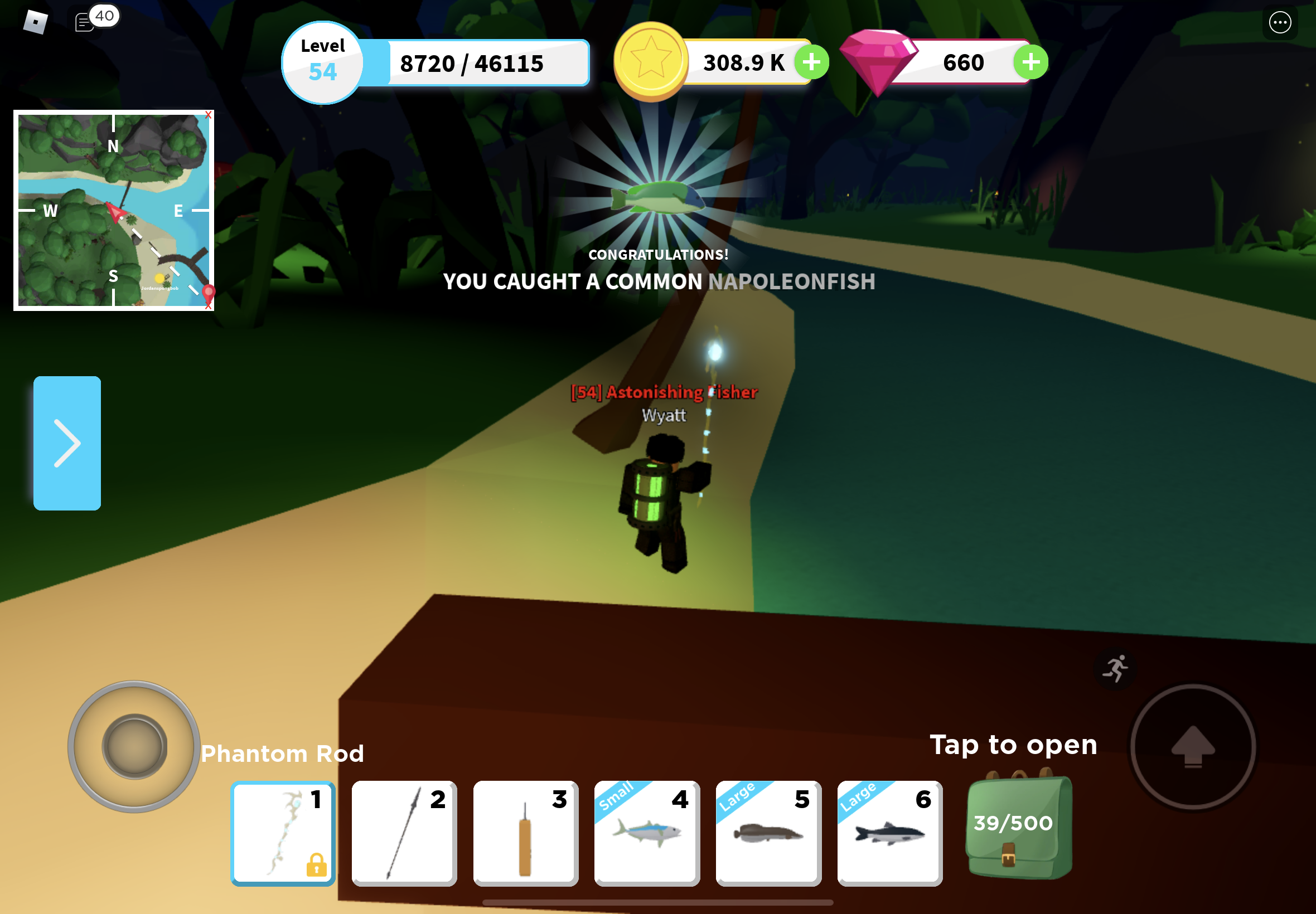 Caught a Napoleon Fish And Yellowfin Tuna In Ancient Shores. Voters